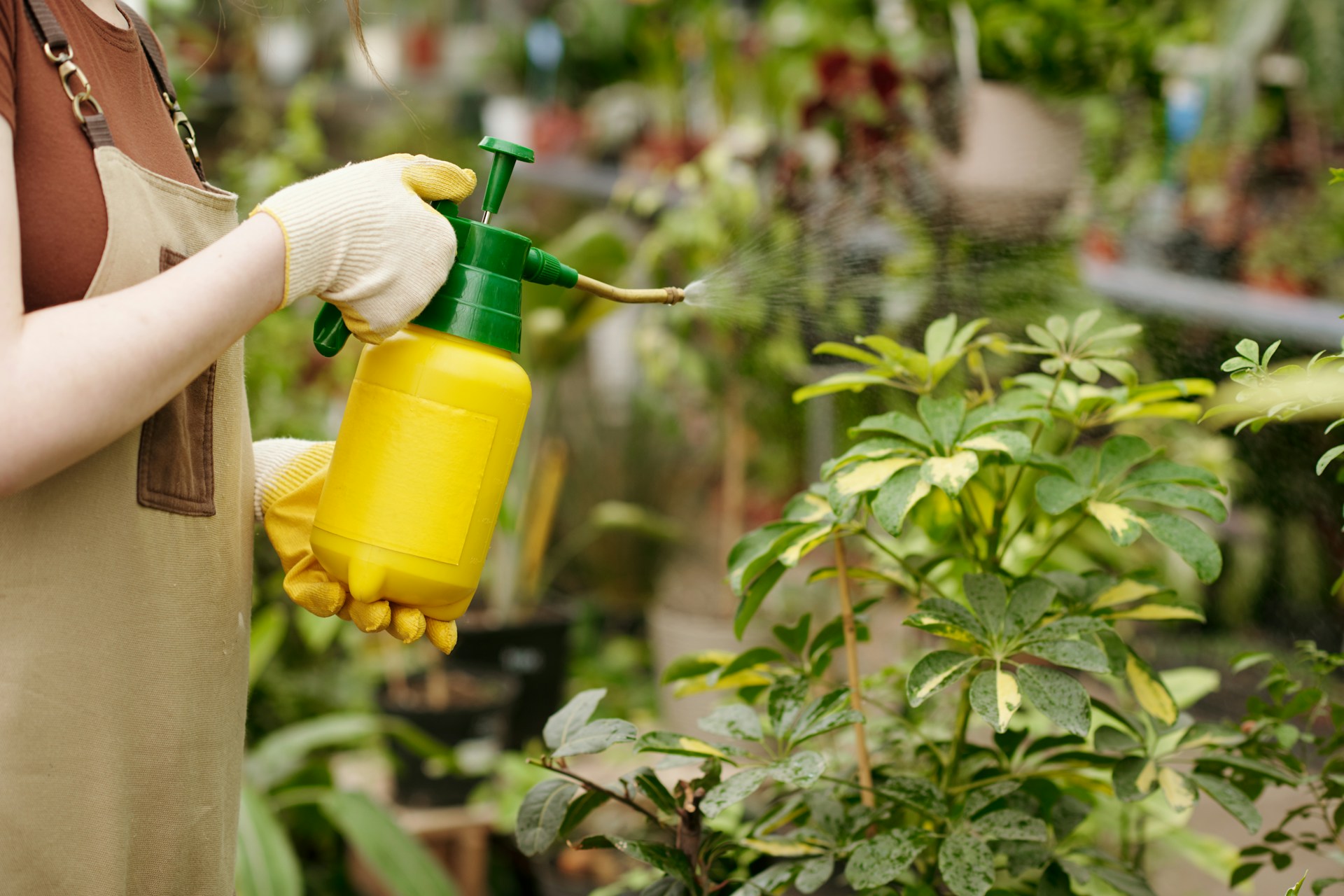 Chemicals being sprayed